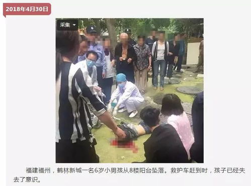 女儿跳楼后我重回年少，父母崩溃，女儿悲剧结局的真相大白--第1张