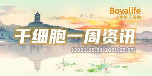 今时重逢不相识短剧大结局，缘起缘灭，终究是过客--第1张