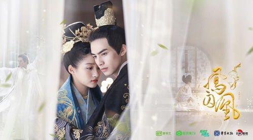 神龙镇九州短剧大结局资讯 神龙乡是什么电视剧 --第1张