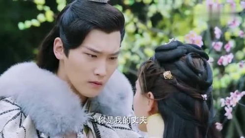穿越王妃要和离免费阅读大结局资讯--第1张