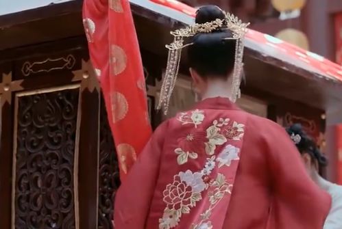 女将军娶个乞丐当王妃短剧大结局解析，爱情的力量超越了阶级和身份。--第1张