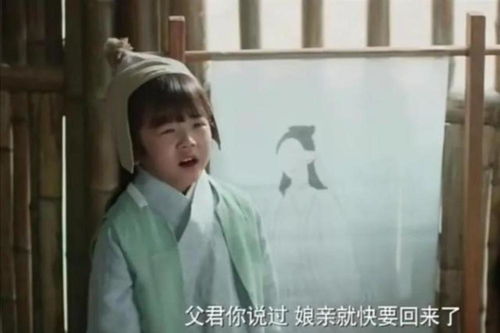 丐世神婿之巅峰归来--第1张