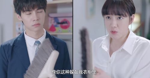 从天而降驸马爷短剧大结局，误会解除，两人终成眷属--第1张