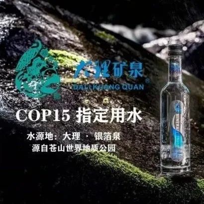 全球污染我靠矿泉水成为首富短剧大结局剧情 全球被污染的水资源占总水量的 --第1张