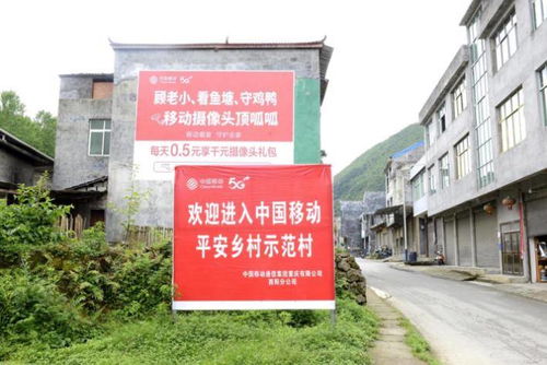 盲妻顾少心尖宠大结局，一生所爱--第1张