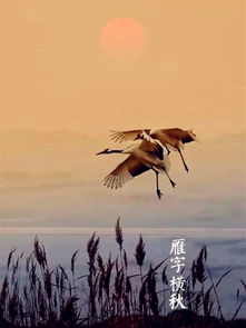 假面千金大结局，假面千金除三害，明天晴空万里--第1张