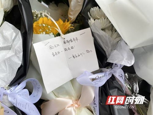 手握八百纵横四海大结局的剧情简介。至于手握百万雄兵下一句是啥，暂时无法提供，可能需要根据语境进行扩展或延伸。--第1张