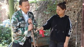 替嫁缠婚大佬送上门短剧大结局，爱情终成，幸福美满--第1张