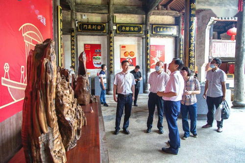 下山后绝世美女非要拜我为师修仙剧短剧大结局剧情 下山要想练就绝世武功 --第1张