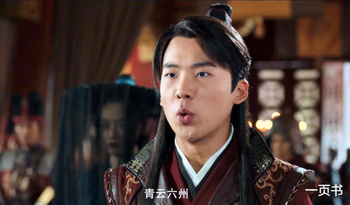 这个赘婿很稳健 小说 这个赘婿不按套路走短剧大结局剧情 --第1张