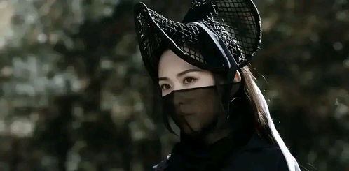 战神大人三夫人黑娃大结局剧情揭秘--第1张