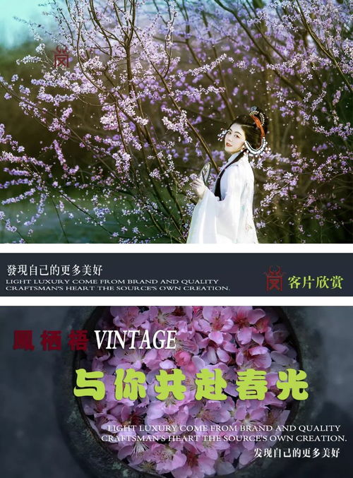 不负韶华大结局，岁月静好，不负韶华--第1张