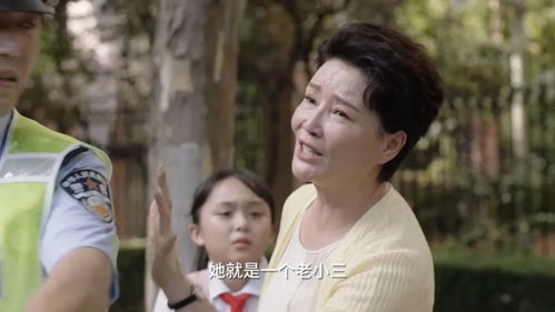 莫少的娇宠小保姆短剧大结局，豪门恩怨尘埃落定--第1张