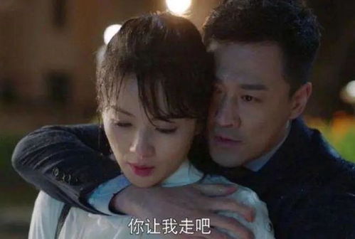 离婚后带崽嫁给千亿霸总大结局，幸福美满生活--第1张