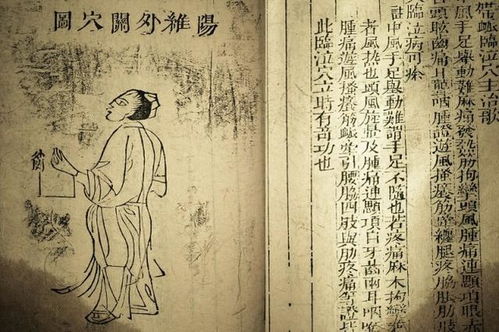 圣贤妙手至尊医道的秘诀之谜底揭晓--第1张