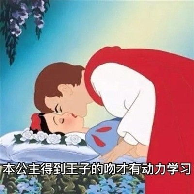 公主大结局，我誓死保护你，我的公主大人表情包--第1张