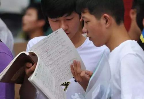 鬼谷传人短剧大结局，传承之路--第1张