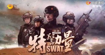 凌云短剧大结局剧情介绍 凌云短剧大结局剧情，意料之外的结局，反转再反转！ --第1张