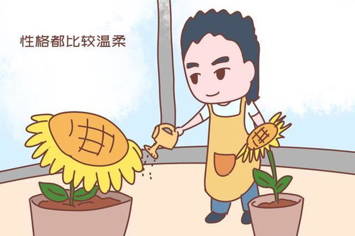 离婚后公布身份老婆后悔了短剧大结局，剧情反转，结局圆满。--第1张