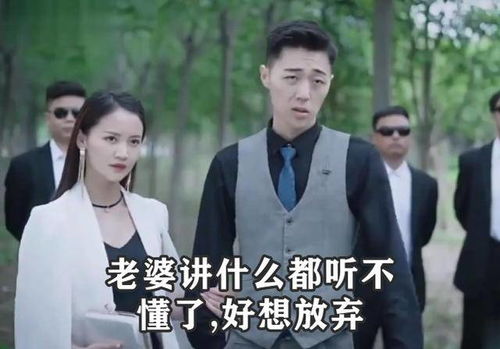 傻子龙婿第二部短剧大结局，龙隐终成最强赘婿--第1张