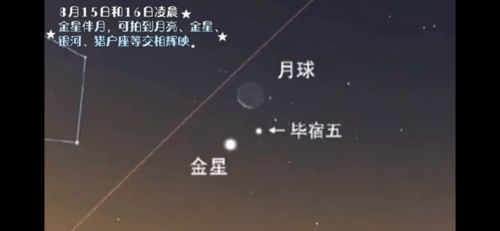 今夜繁星坠落下一句 今夜繁星似你短剧大结局剧情 --第1张