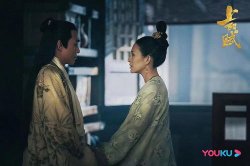 九霄之上大结局，爱情与正义的胜利--第1张