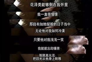 池总渣他不爱我一探究竟--第1张