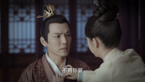 弃妃惊华侯爷追妻忙短剧大结局免费观看 弃妃惊华 小说 --第1张