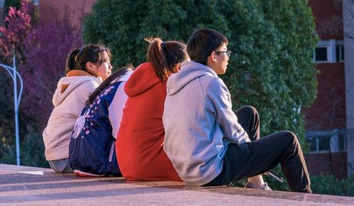 重回被杀新婚夜，我抱紧了冷血老公免费观看--第1张