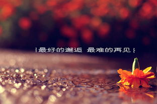 再见祝你幸福短剧大结局免费观看全集 再见，祝你幸福——短剧大结局免费观看 --第1张