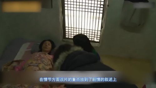 误入客人房间是怎么处理的 误入房间后被顶头上司宠入怀短剧大结局免费观看 --第1张