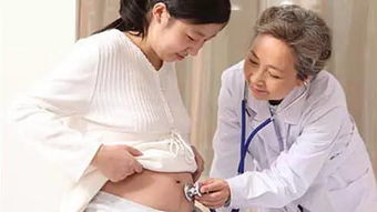 离婚后她转身收到六胎孕检单短剧大结局免费观看，离婚时她竟然怀孕了，剧情大揭秘！--第1张