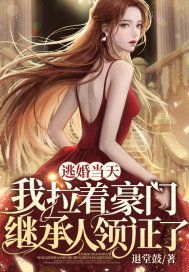  分手当天豪门继承人拉着我领证 --第1张