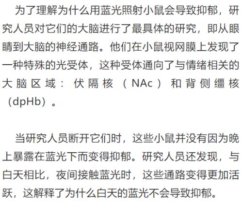 陆总离婚请签字免费观看大结局，陆总离婚请签字路北小说免费阅读--第1张