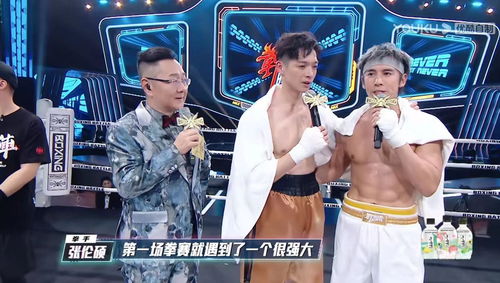 拳力以赴短剧大结局免费观看 拳力以赴短剧大结局免费观看 --第1张