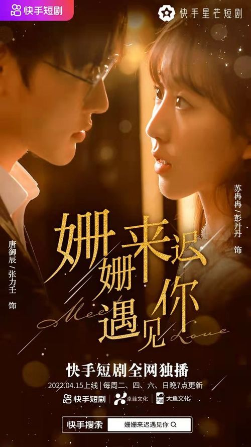 风起时遇见你大结局免费观看，风起时见你剧终版在线观看--第1张