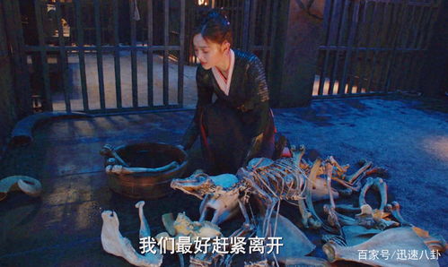 燃烧吧特工妈妈大结局免费观看--第1张