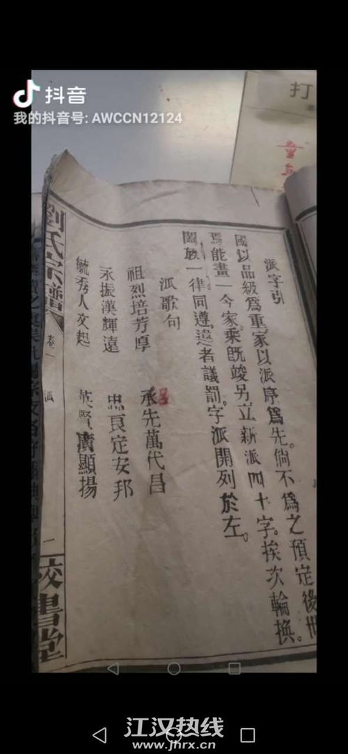 清明祭祖族谱，家族历史与传承的独特展示--第1张