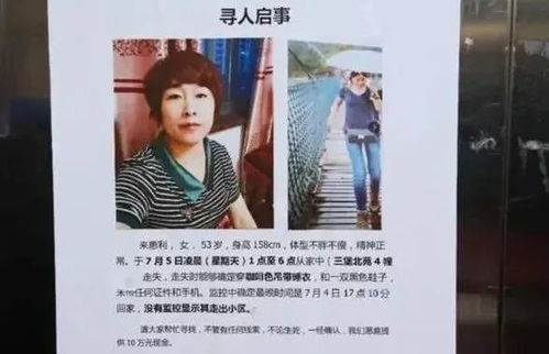 消失的妻子犯罪嫌疑人下场，消失的妻子之插翅难逃小合短剧大结局免费观看--第1张