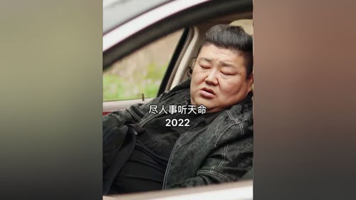 天命神算大结局免费观看--第1张