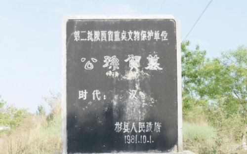 江总别虐，时小姐又跑了大结局免费观看--第1张