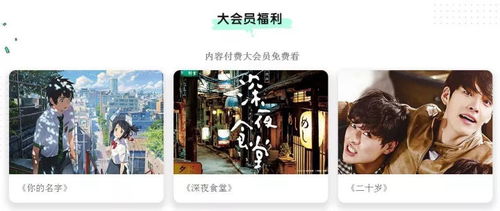 繁花初见不知迟短剧大结局免费观看 繁花初见不知迟短剧大结局免费观看 --第1张