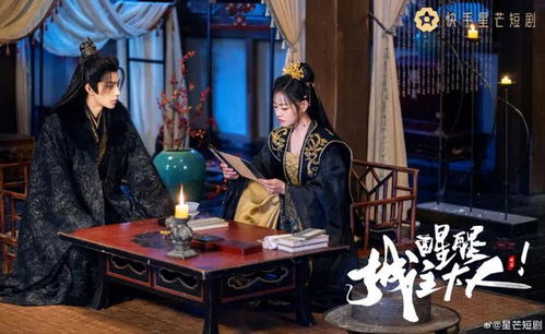 少帅夫人说她不配免费观看视频结局版--第1张