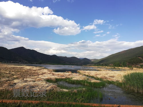 蚀骨婚情,高冷季总来敲门 蚀骨情深季总狠狠爱短剧大结局免费观看 --第1张