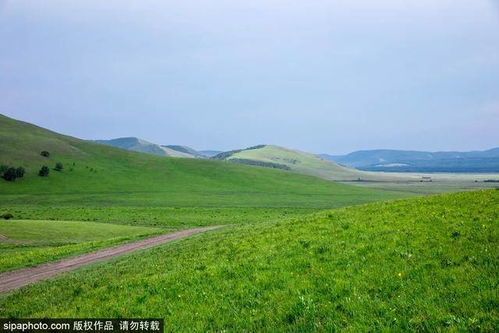  离婚就崛起，前妻他后悔莫及，长篇离婚后绝色女老板悔哭了——短剧大结局免费观看 --第1张