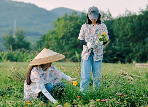 巧识少年情深种大结局，巧好是少年免费观看--第1张