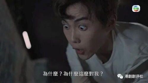 除我之外短剧大结局免费观看第二季--第1张