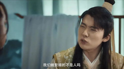 回到古代当赘婿百度百科，大结局免费观看篇--第1张