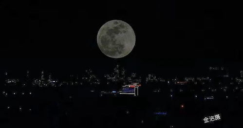 月亮落在我手上短剧大结局免费观看 月亮落在我手上短剧大结局免费观看 --第1张