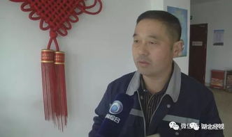 沈先生为何要这样对我短剧大结局免费观看 沈先生怎么了 --第1张